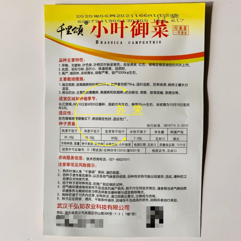 小叶御菜红菜苔种子早熟高产红油菜苔种籽正宗红菜薹种子味甜