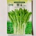千里颂翠玉白菜苔种子抗病耐寒菜心菜苔种籽农家四季疏菜