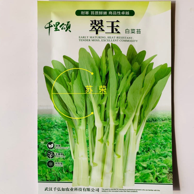 千里颂翠玉白菜苔种子抗病耐寒菜心菜苔种籽农家四季疏菜