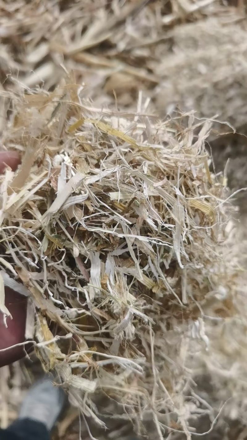 玉米秸秆柔丝粉碎草