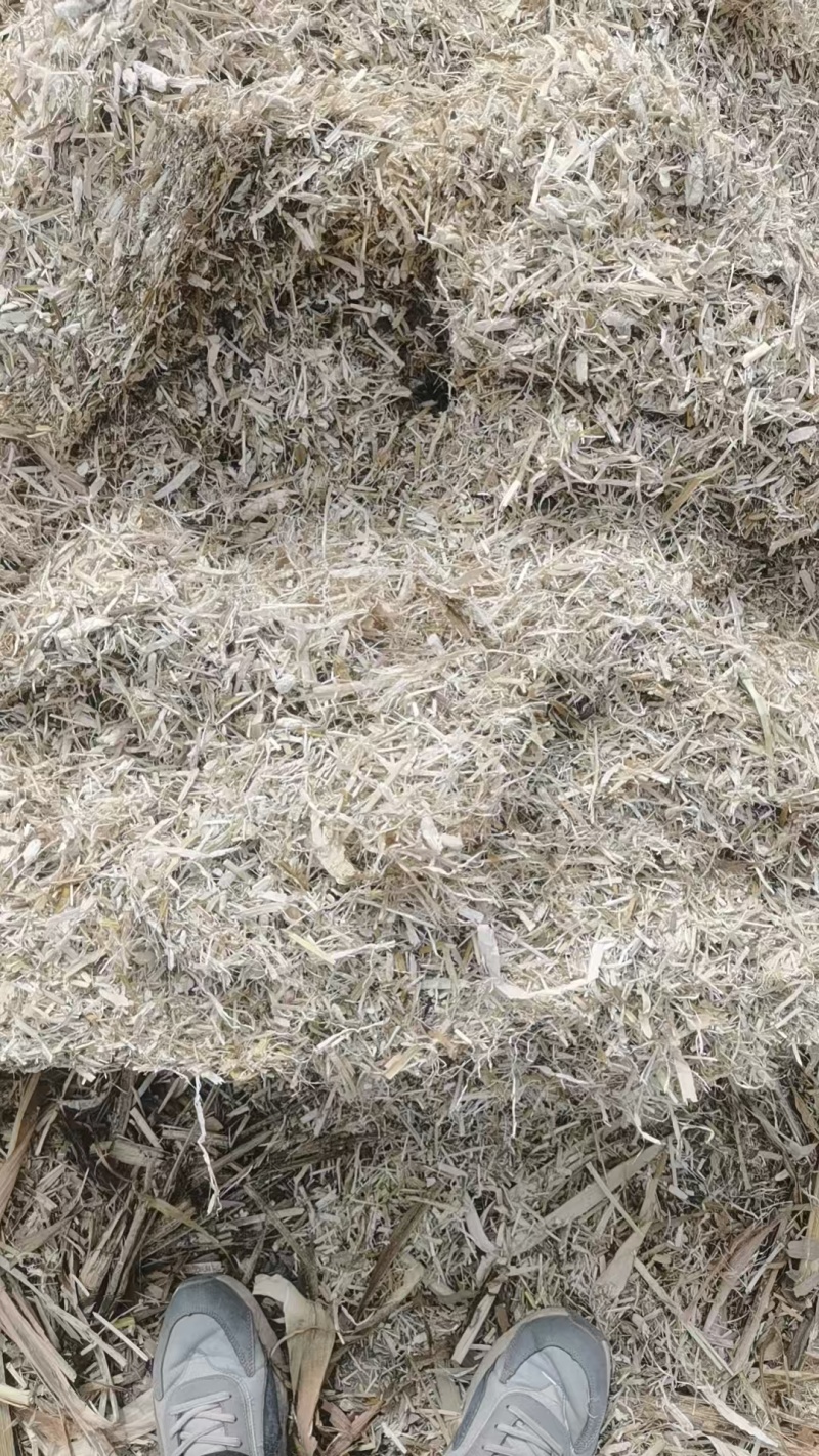玉米秸秆柔丝粉碎草