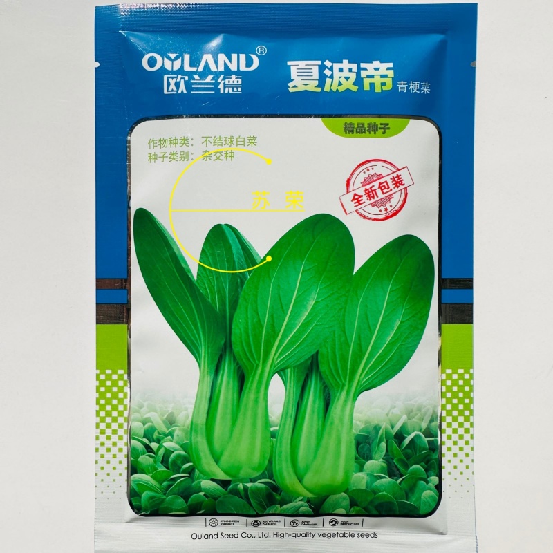 欧兰德夏菠帝青梗菜种子早熟耐热耐湿耐雨小青菜种籽四季蔬菜