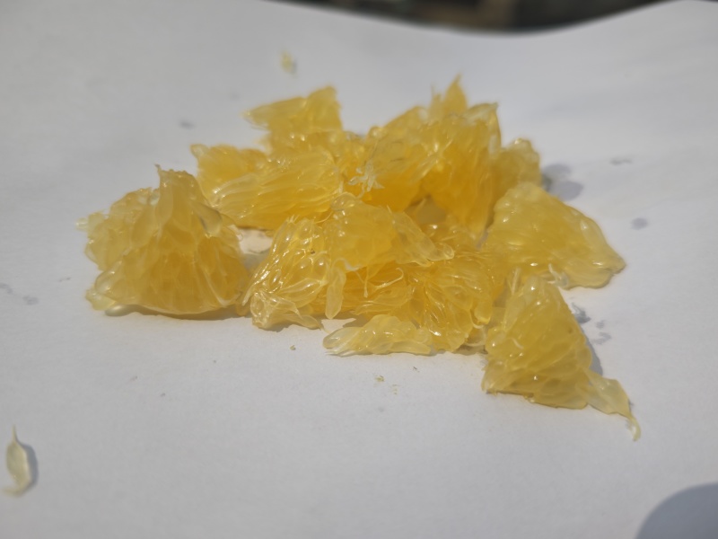 阳光一号桔柚，阳光1号桔柚