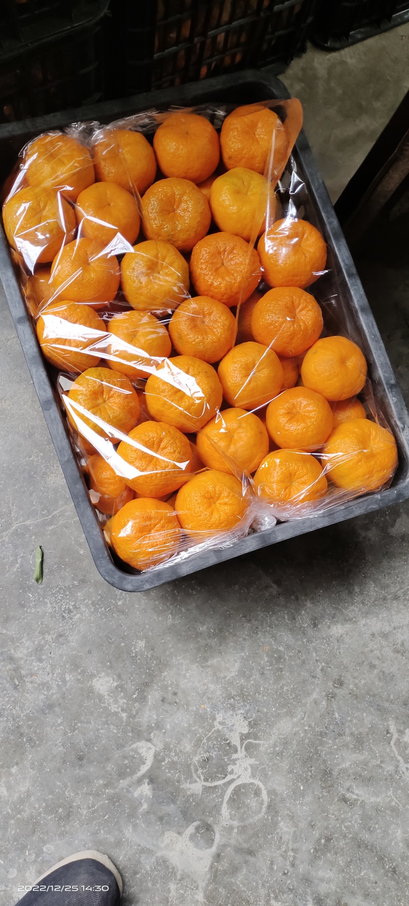 湖南椪柑标志性产区，果大脆甜硬度好，果面颜色鲜红气味芳香