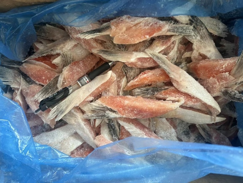 三文鱼鱼鳍三文鱼鱼翅原浆鱼翅马哈鱼鱼翅烧烤食材自助餐食材