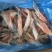 三文鱼鱼鳍三文鱼鱼翅原浆鱼翅马哈鱼鱼翅烧烤食材自助餐食材