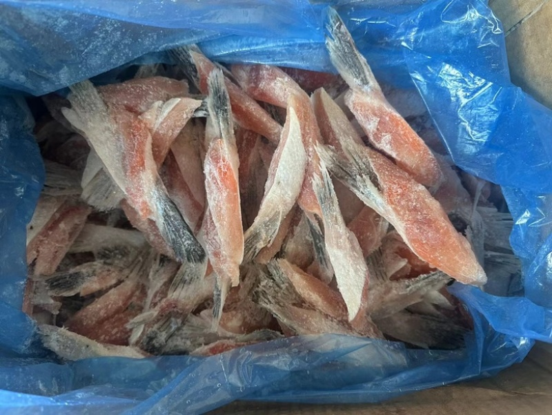 三文鱼鱼鳍三文鱼鱼翅原浆鱼翅马哈鱼鱼翅烧烤食材自助餐食材