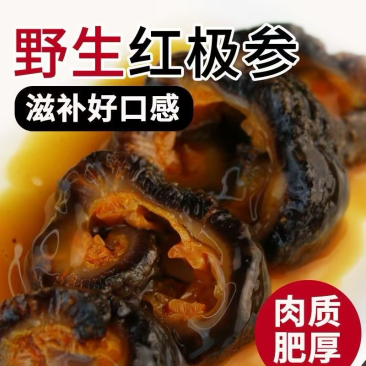 北极红参圈即食海参
