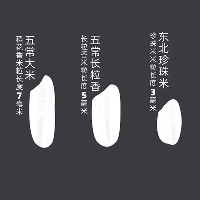 东北长粒香珍珠米新米保质保量欢迎来电洽谈