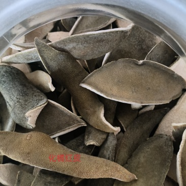 正品化州橘红单爪，1斤起售，精选化橘红皮