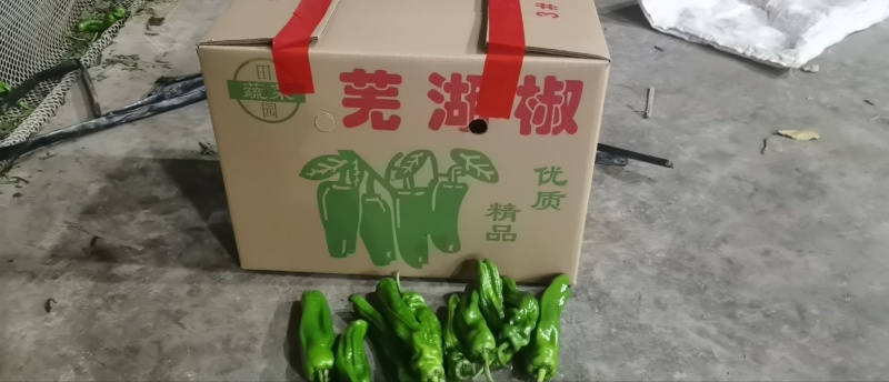 【推荐】江苏精品辣椒芜湖椒大量供应产地直发价优可看货