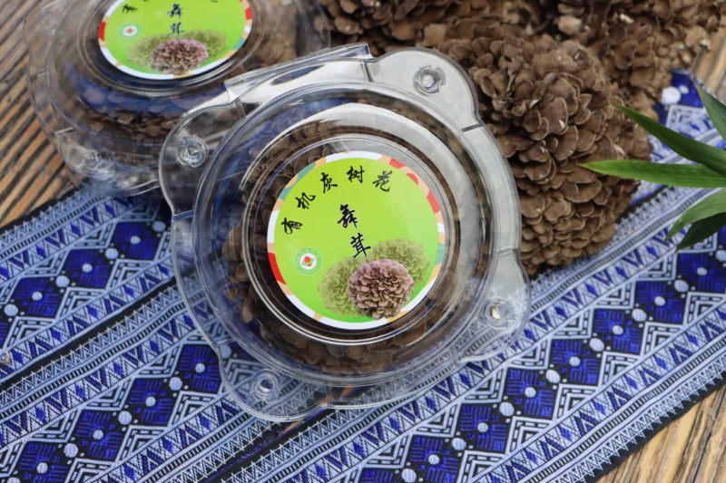 灰树花鲜货舞茸菌菌菇煲汤炒菜营养价值高