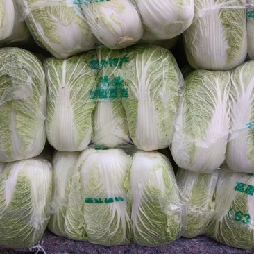 湖北大白菜，黄心大白菜，供应市场，电商超市
