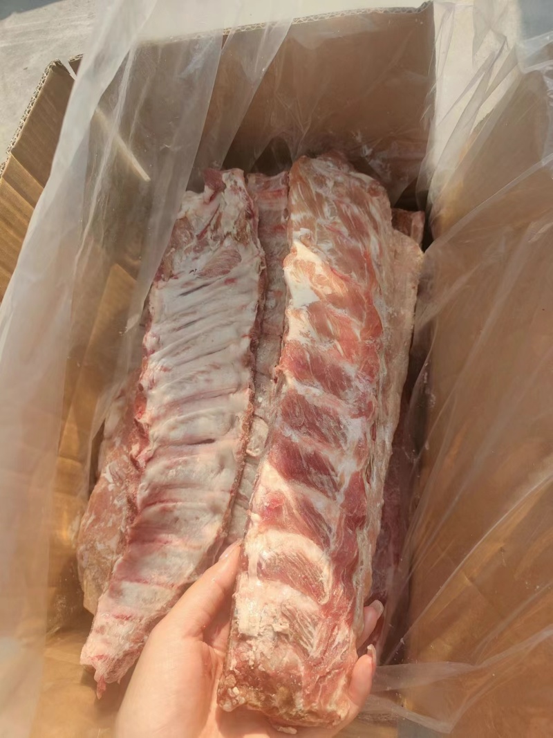新到寸排开箱实拍
