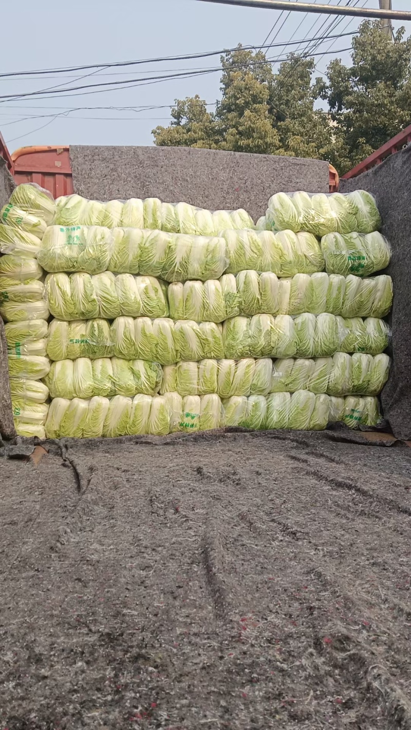 湖北大白菜，黄心大白菜，供应市场，电商超市
