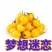 迷恋小番茄，营养丰富，美味可口，有需要老板可以来电咨询