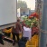 我们产地精品花菜大货上市许要联系