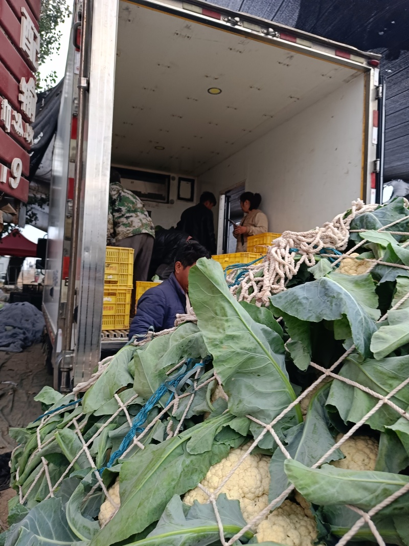 我们产地精品花菜大货上市许要联系