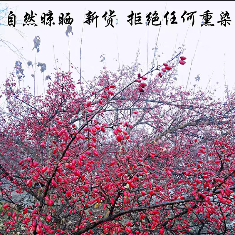 山茱萸河南山萸肉精选中药材全干无硫山芋肉