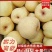酥梨砀山酥梨精品300克一400克单果
