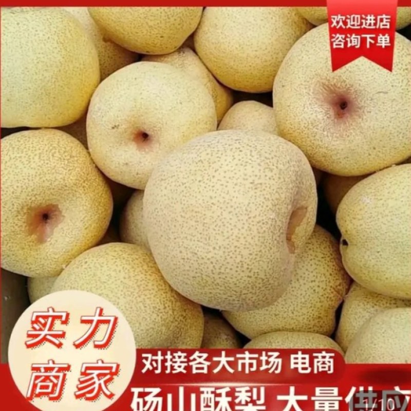 酥梨砀山酥梨精品300克一400克单果