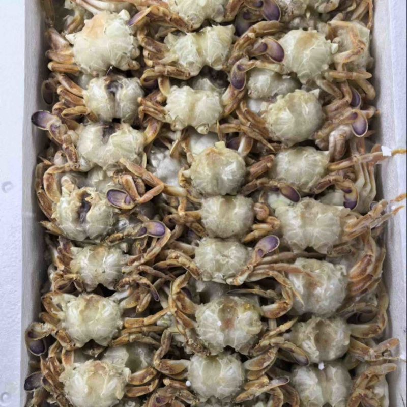 沙蟹排