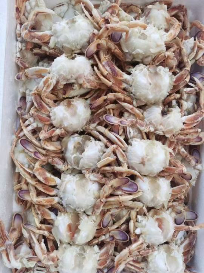 沙蟹排