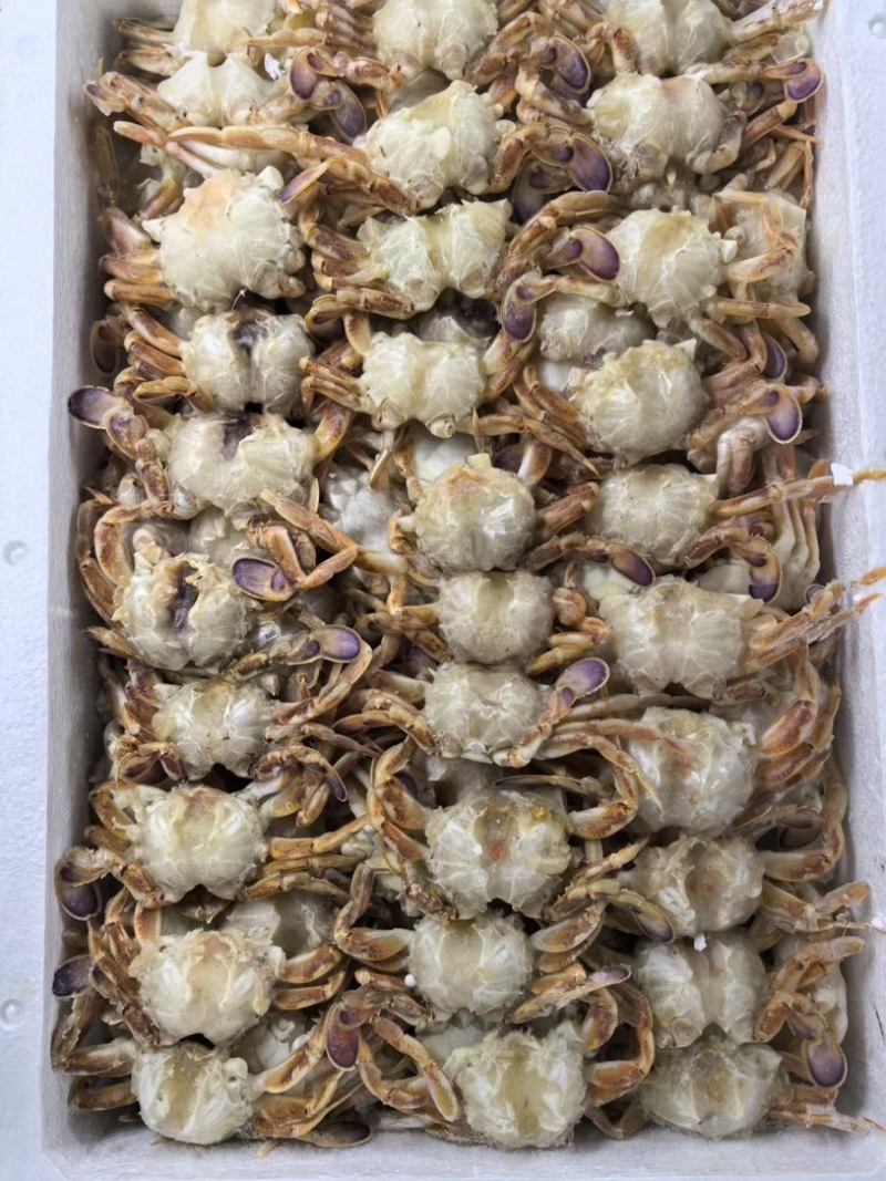 沙蟹排
