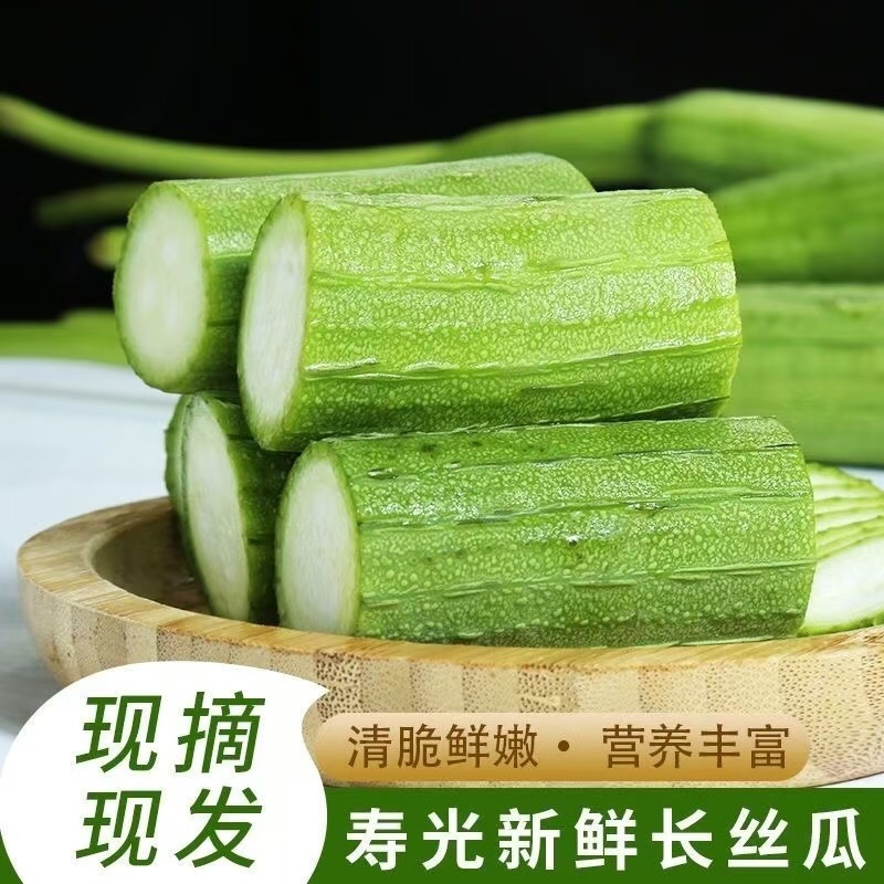 精品丝瓜，货源充足，产地直发，诚信经营，欢迎客商来电