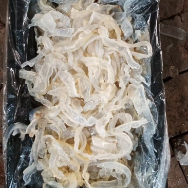 【海蜇皮】山东沾化海蜇量大全国接单耐运输承接餐饮批发加工