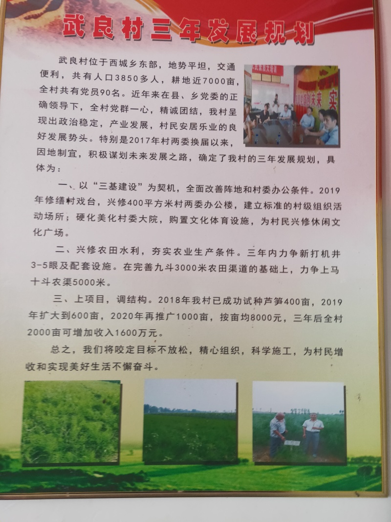 山西吕梁芦笋苗，苗圃基地直发现挖现发，抗病毒