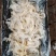 【海蜇皮】山东沾化海蜇量大全国接单耐运输承接餐饮批发加工