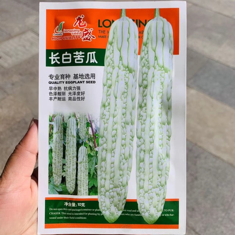 龙盛大白龙白苦瓜种子早中熟长棒形肉厚瓜条均匀大白苦瓜