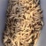 麦冬一手货源川麦冬黄芪无硫正品麦冬批发价原色干货品质保证
