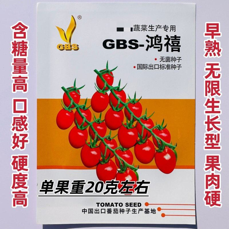 鸿禧亮红色樱桃番茄种子早熟无限生长型千禧番茄种子糖度高