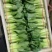 西安市青菜青梗菜油菜大量上市量大质优可视频看货