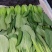 西安市青菜青梗菜油菜大量上市量大质优可视频看货