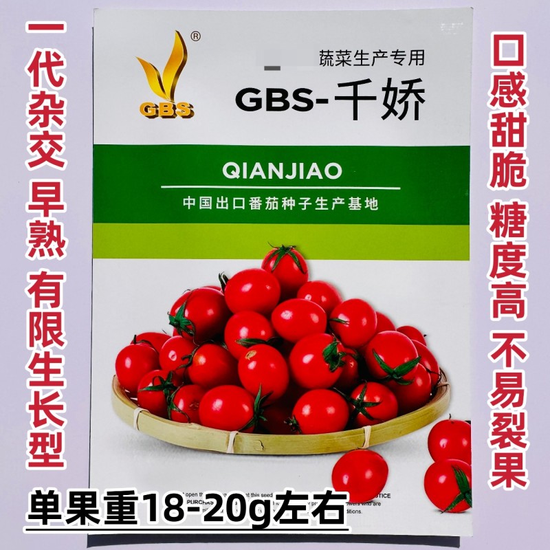 千娇樱桃番茄种子有限生长型口感甜脆糖度高