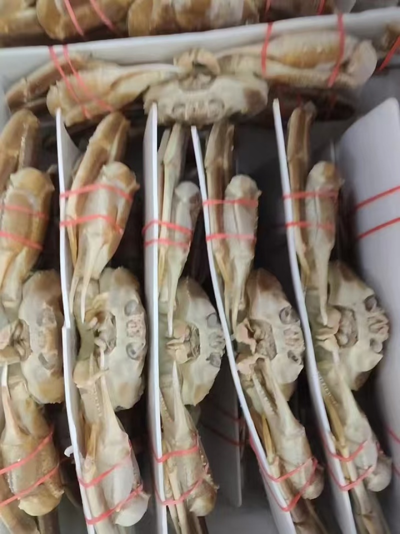 活冻松叶蟹（板蟹）高品质，肉质蒸出来跟活一样
