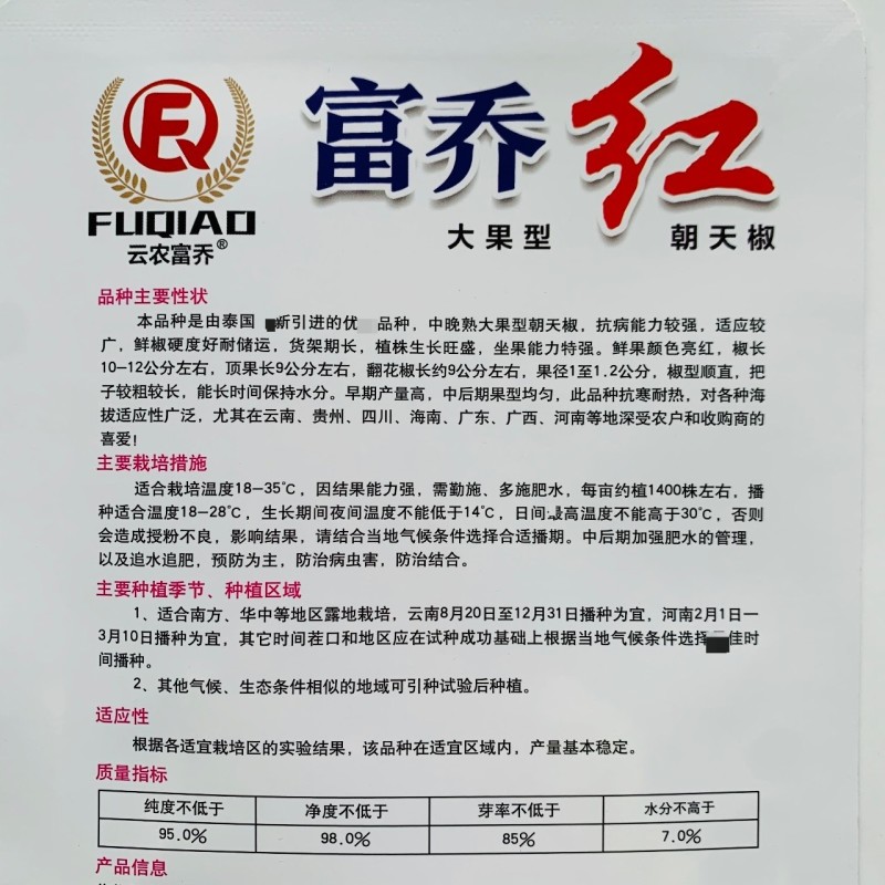 新品种富乔红朝天椒种子大号朝天椒种子产量高硬度好尾期果大