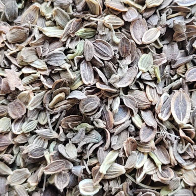 白花前胡种子，品种纯正，发芽率95%.对接全国
