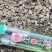 白花前胡种子，品种纯正，发芽率95%.对接全国