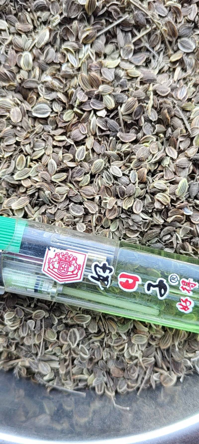 白花前胡种子，品种纯正，发芽率95%.对接全国