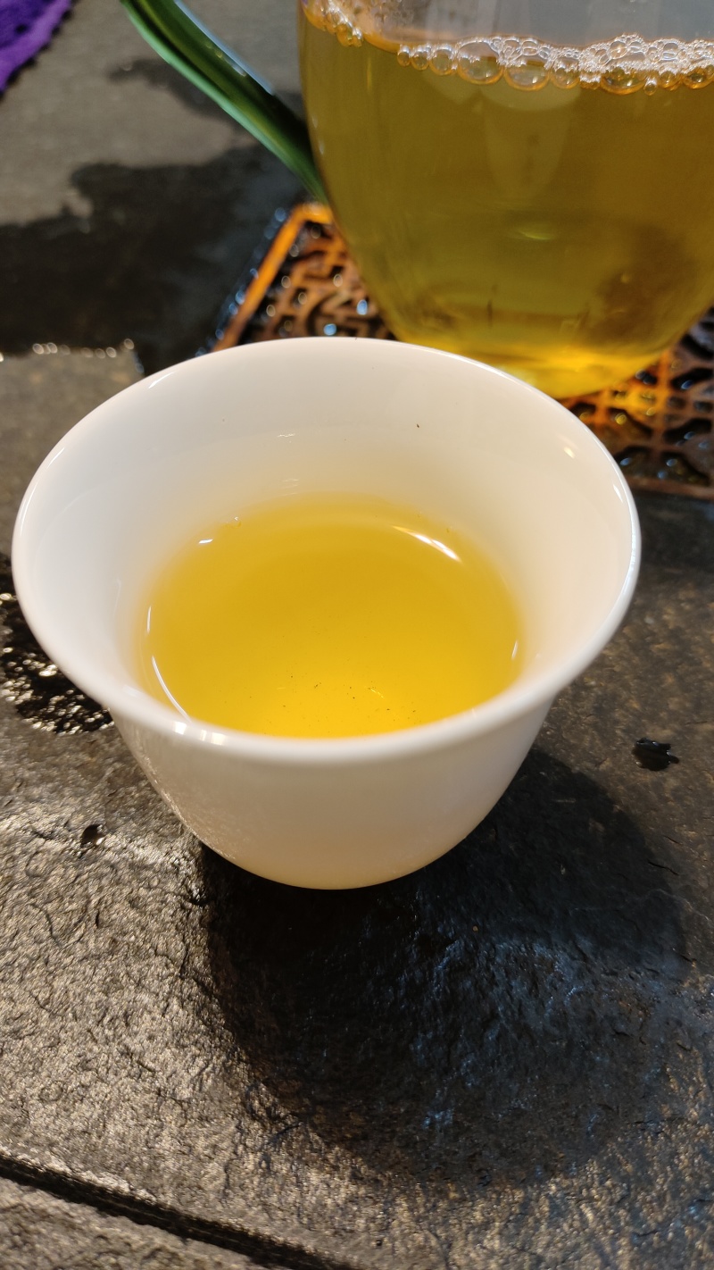 普洱易武高山古树