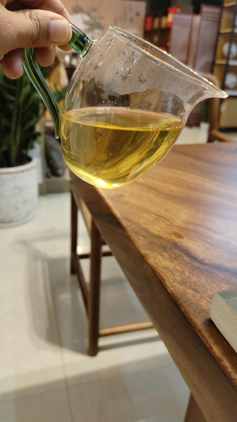 普洱易武高山古树