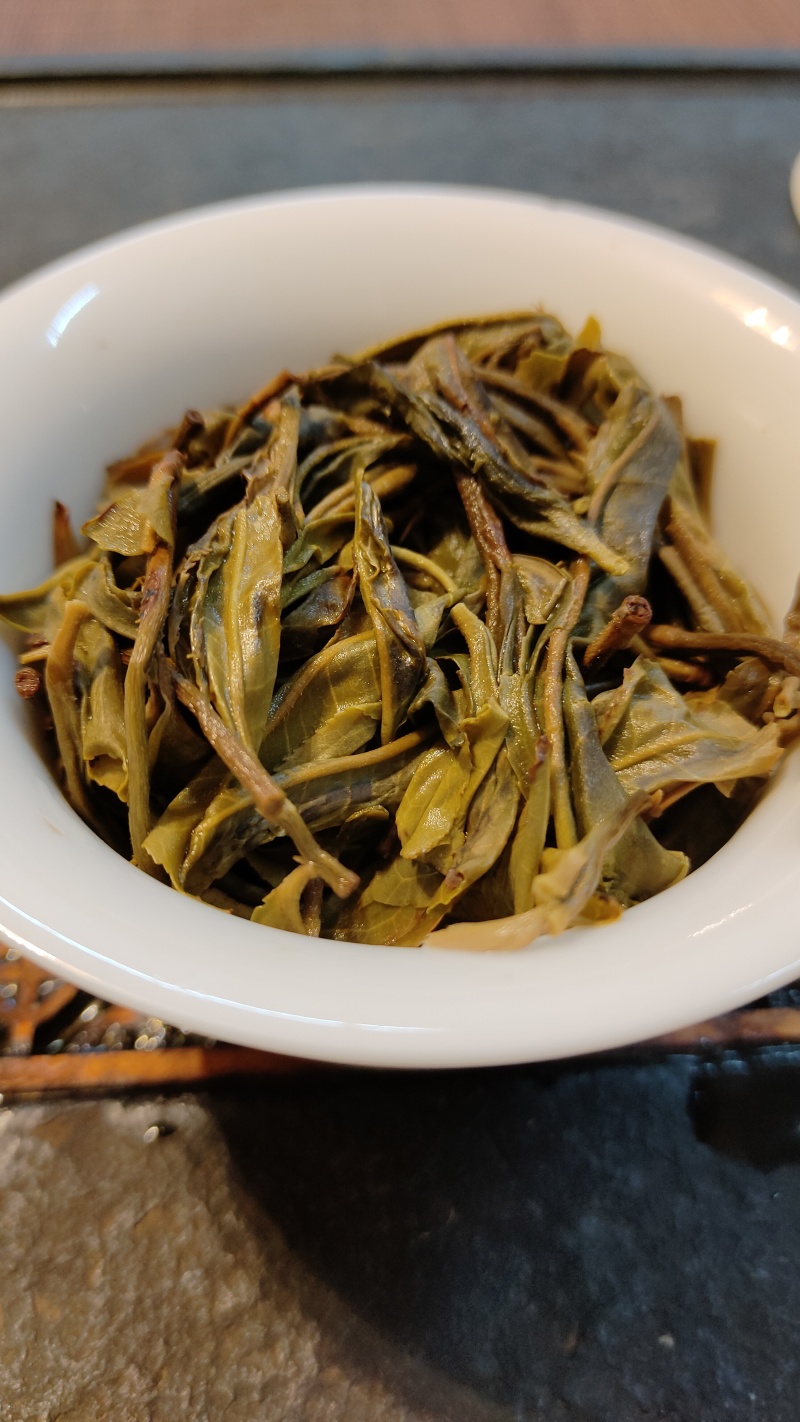 普洱易武高山古树