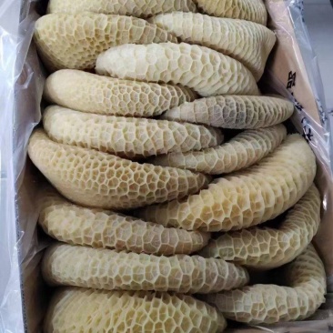 金钱肚