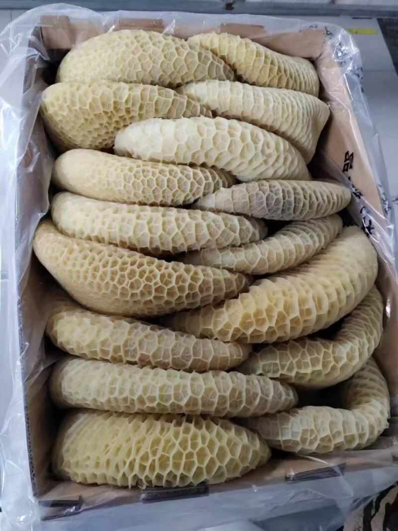 金钱肚