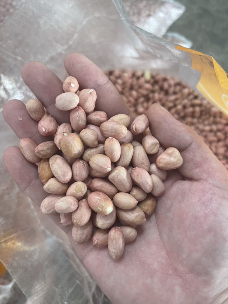 花生米，鲁花精选米，白沙精选米，油料米。