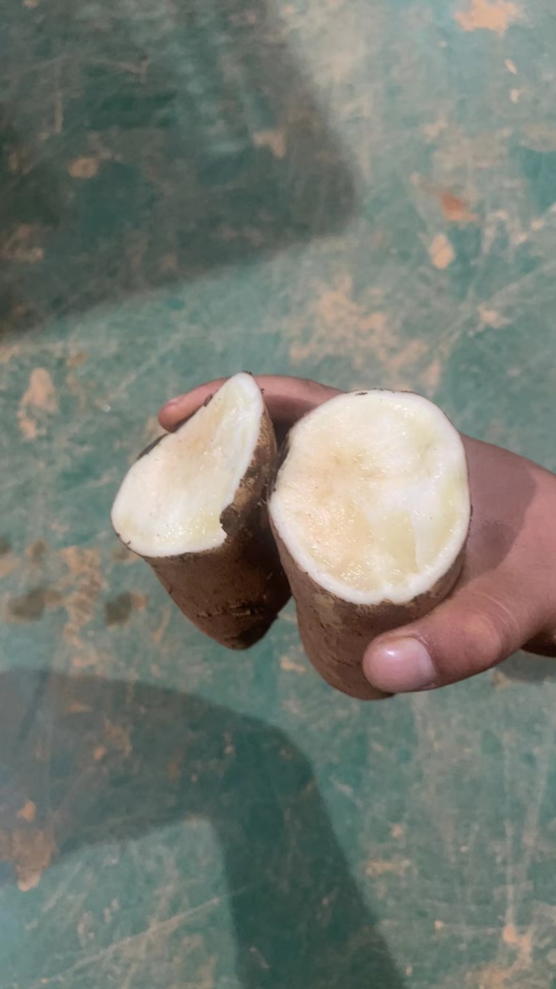 精品高原（雪莲果），产地直供，对接全国，可批发可一件代发